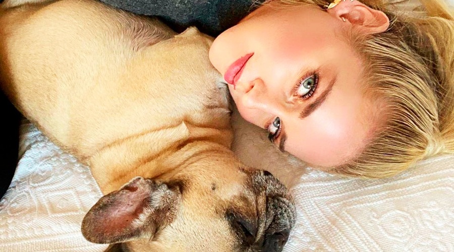 Tudi tvoj kužek🐶 v dežju NE želi na sprehod? Strokovnjaki pojasnjujejo, ZAKAJ je tako (+kaj storiti) (foto: Profimedia)