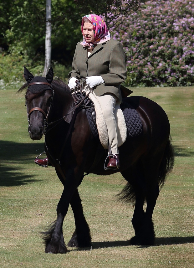 👉 Kraljica z veliko začetnico! 👏🏻 Fotke na konju so fotografirali britanski mediji, to pa je za kraljico prvi stik …