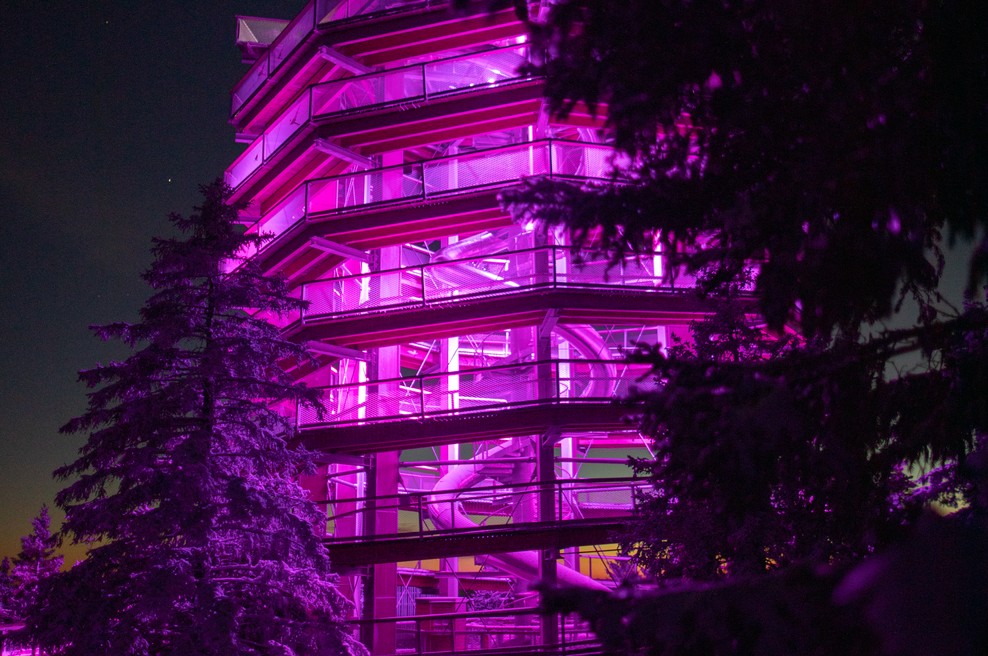 Aurora na Poti med krošnjami in Mike Vale (foto: Promocijsko gradivo)