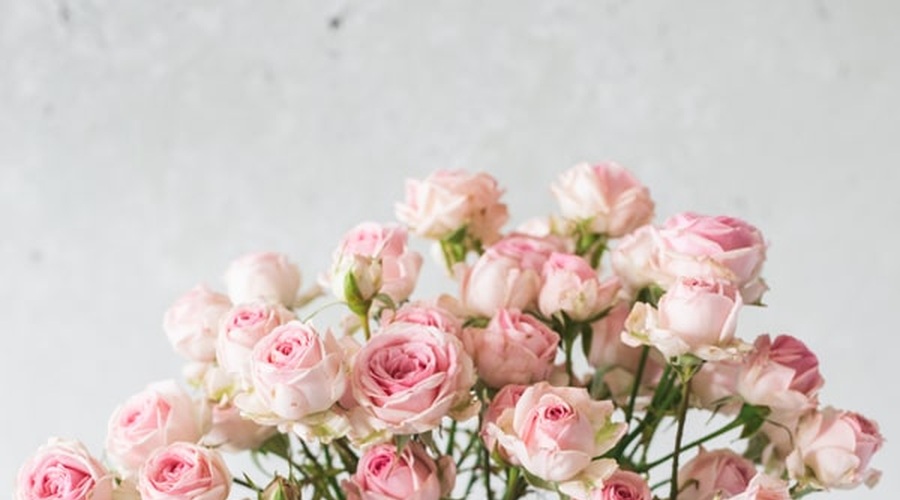 Edinstvena izkušnja 'Flower Therapy' za vsako žensko, ki želi sprostiti napetost in svoje misli 🌸 (foto: Sanjski šopek)