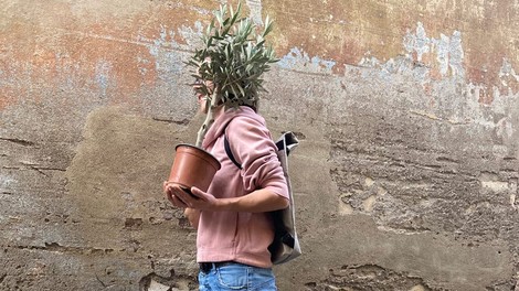 Metka iz Sanjskega šopka: TE rastline bodo na tvoj balkon prinesle občutek poletja