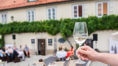 Ne veš, kaj bi počela ta vikend? Maribor te vabi na petkove vinske večere!