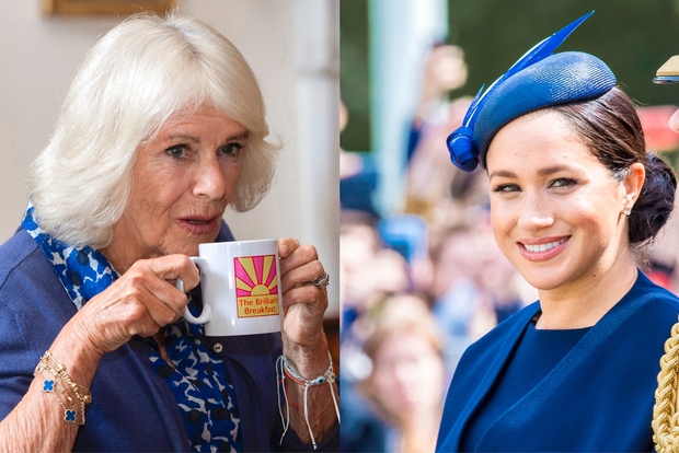Znano je, da Camilla, žena prestolonaslednika princa Charlesa, ni oboževalka Meghan Markle. To je potrdil tudi britanski pisatelj Tom Bower, …