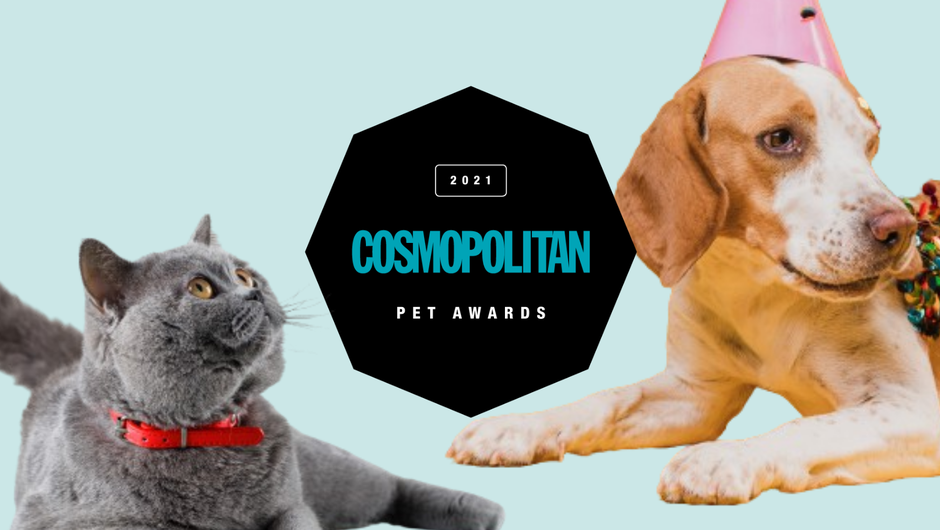 TO so zmagovalci izbora Cosmo PET awards 🐶 🐱