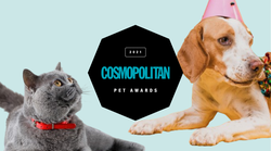 TO so zmagovalci izbora Cosmo PET awards 🐶 🐱