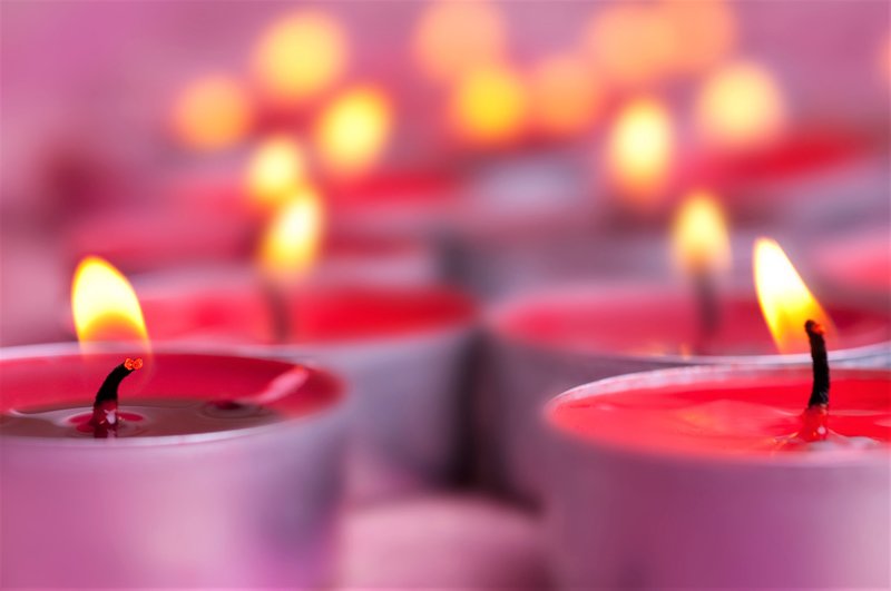 DIY: Letos za 1. november prižgi naravi PRIJAZNO svečo (trik slovenske vplivnice) (foto: Profimedia)