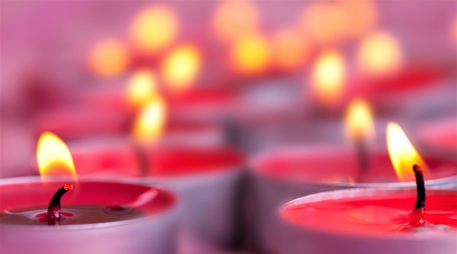 DIY: Letos za 1. november prižgi naravi PRIJAZNO svečo (trik slovenske vplivnice) (foto: Profimedia)