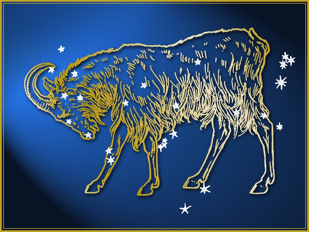 KOZOROG Kozorogi vstopajo v obdobje, ko bodo trud, disciplina in odrekanja končno nagrajeni. Poslovne priložnosti se bodo pojavljale same od …