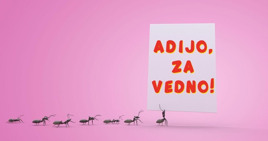So tvoje stanovanje napadle mravlje? Slovenci na spletu PRISEGAJO, da se jih TAKO rešiš za vedno (foto: Profimedia)