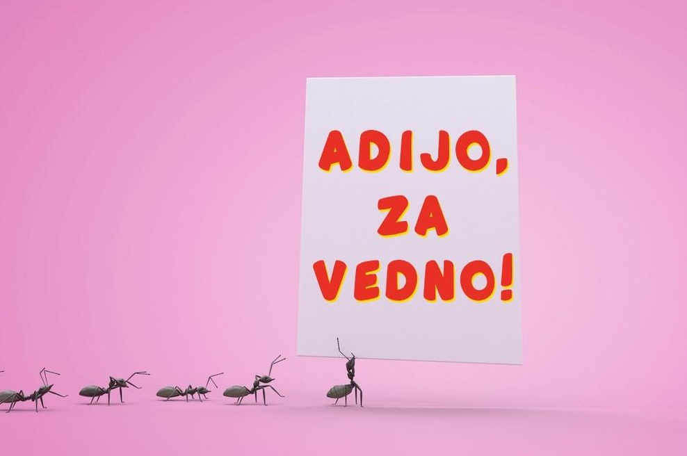 So tvoje stanovanje napadle mravlje? Slovenci na spletu PRISEGAJO, da se jih TAKO rešiš za vedno (foto: Profimedia)