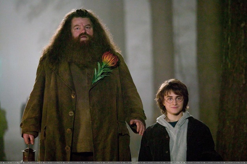 Kot so zdaj povedali britanski mediji, je Hagrid umrl zaradi kombinacije sepse, okužbe spodnjih dihal in srčnega bloka.