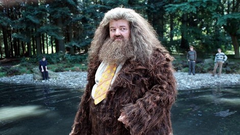 Končno je znano, ZAKAJ je v resnici umrl Hagrid iz Harry Potterja in tega večina RES ni pričakovala 😞