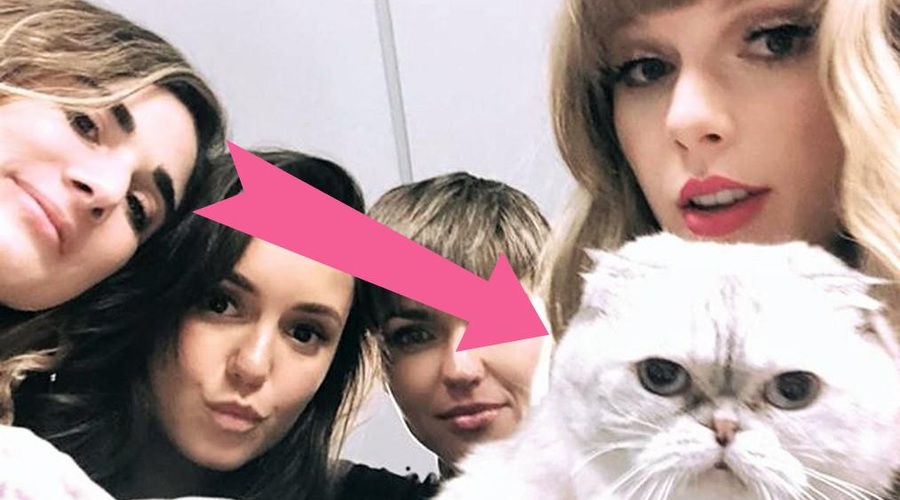 Omg, kaj?! TOLIKO je vredna mačka Taylor Swift (in ja, govorimo o MILIJONIH) (foto: Profimedia, Obdelava: Cosmo uredništvo)