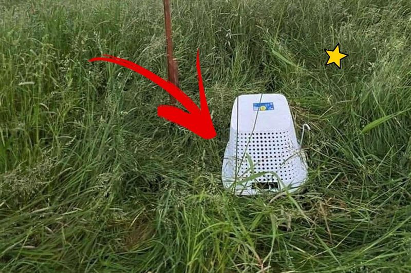 Če na travniku opaziš narobe obrnjeno košaro za perilo, se je nikar ne dotikaj (+ zakaj je v resnici tam) (foto: Facebook/Nina Kalan, Obdelava: Cosmo uredništvo)