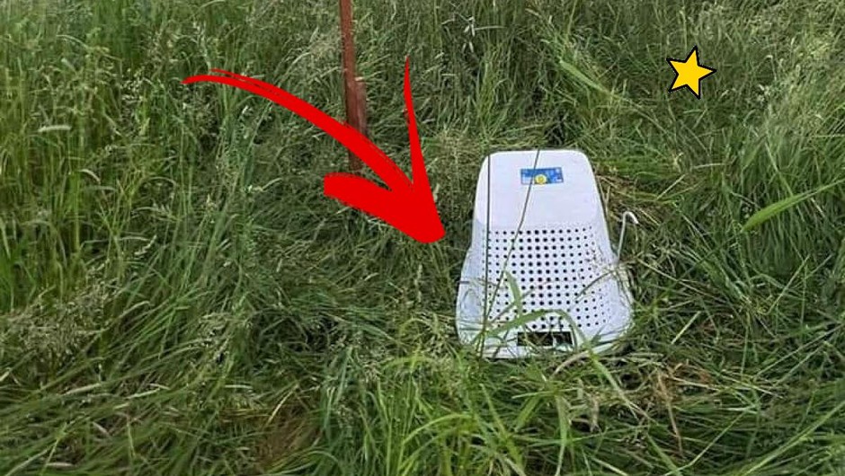 Če na travniku opaziš narobe obrnjeno košaro za perilo, se je nikar ne dotikaj (+ zakaj je v resnici tam) (foto: Facebook/Nina Kalan, Obdelava: Cosmo uredništvo)