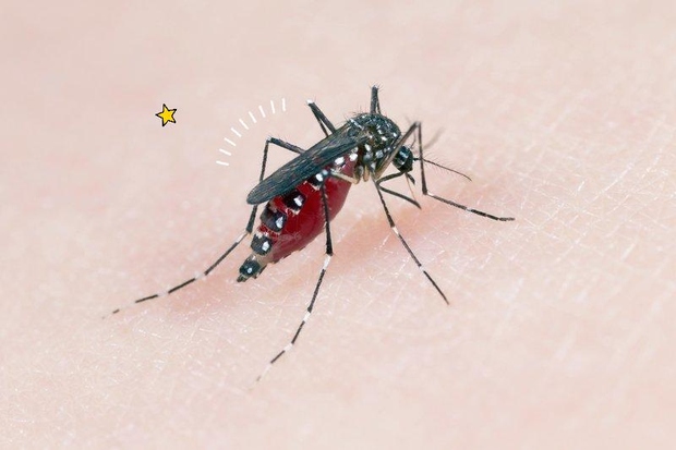 Komarje privlačijo predvsem dejavniki, kot so telesna toplota, emisije ogljikovega dioksida in nekatere kemične spojine v človeškem potu. Vendar pa …