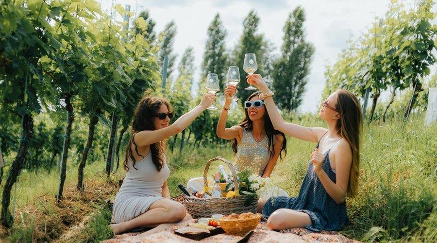 Poletna osvežitev iz vinske kleti Puklavec Family Wines – Jeruzalem Ormož (foto: Jeruzalem Ormož)