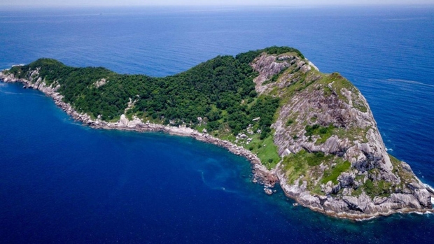 Otok se imenuje kačji otok, saj na njem prebiva na tisoče smrtonosnih kač. Še posebej izstopajo zlate harpunaste kače, ki …