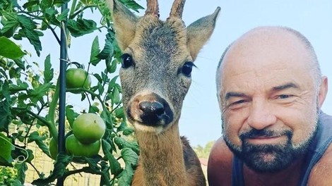 Po grozljivi izkušnji Jan Knez končno razkril, kakšno je stanje zastrupljenega srnjačka