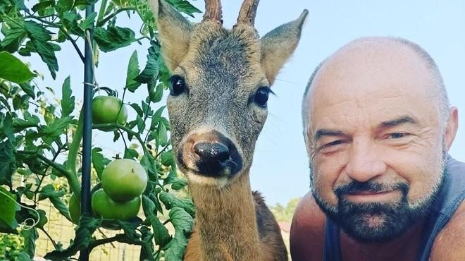 V začetku tedna je nekdanji tekmovalec Kmetije, Jan Knez, sporočil žalostno novico, da mu je nekdo zastrupil njegovega srnjačka Miška. …