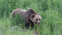 Vprašanja turistov, ob katerih Slovenci 'znorijo': tujci vedno znova sprašujejo iste neumnosti