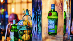 Gostje so se zabavali ob koktajlih z odličnim džinom Tanqueray.