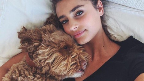 taylor-hill-postelja-zbuja-s-psom