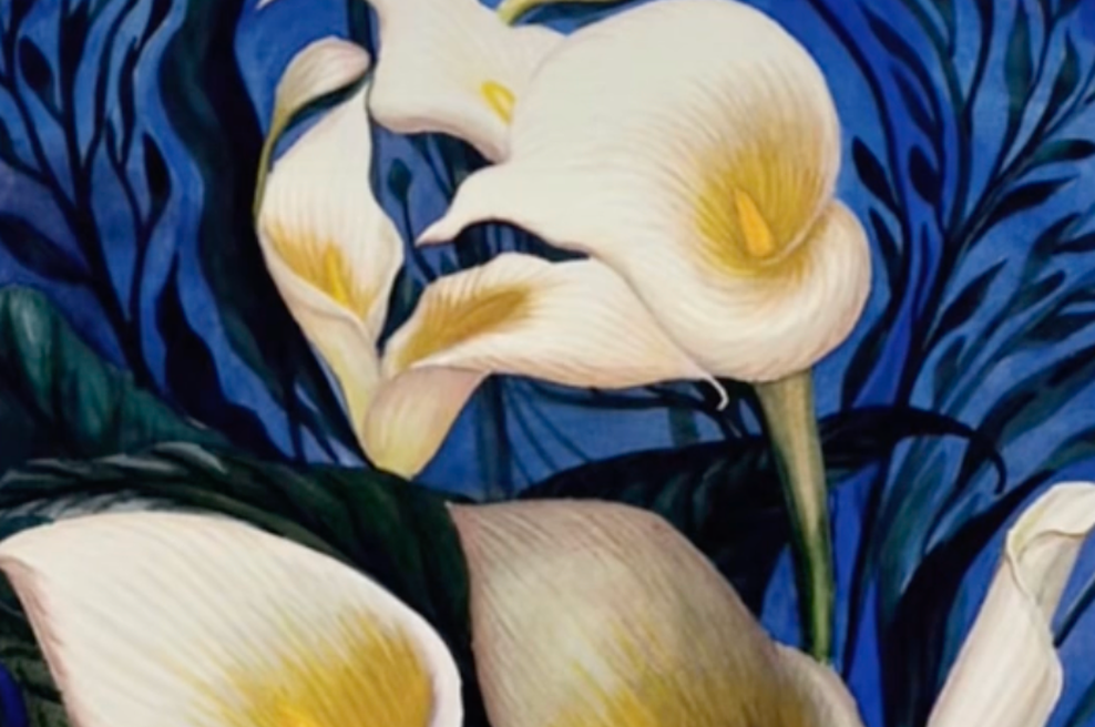 Vizualni test: tisto, kar vidite prvo, razkriva, kako hitro oprostite drugim (foto: TikTok @mia_yilin (Posnetek zaslona))