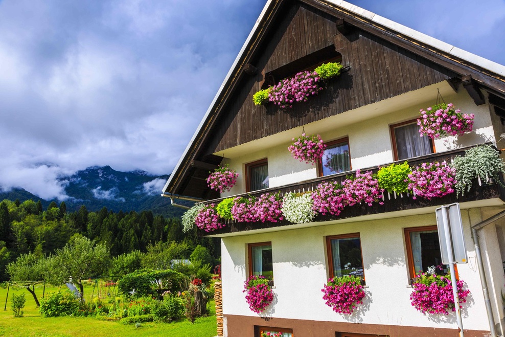 Nasvet arhitekta: "Namesto da 30 let gradite hišo, ki je vaši otroci ne bodo potrebovali, naredite to..." (foto: profimedia)