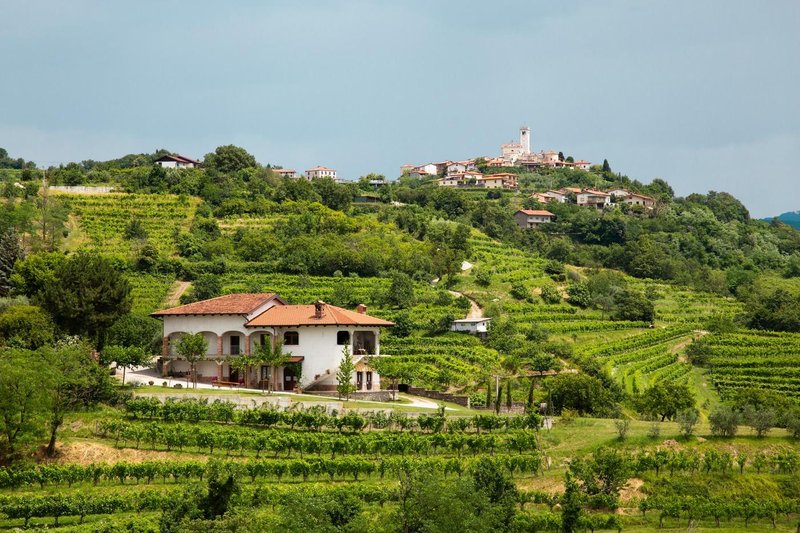 Ideja za vikend izlet: Obišči pravljično 'slovensko Toskano' (foto: Profimedia)