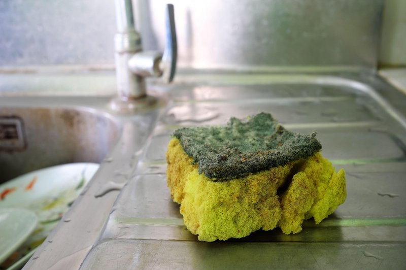 Kuhinjska gobica je eden izmed najbolj umazanih predmetov v tvoji kuhinji - kako jo temeljito očistiti? (foto: Profimedia)