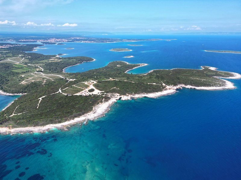 Kaj se dogaja?! V hrvaškem morju iz globin prišla nenavadna in nevarna žival, katerih dotik je zelo boleč (foto: Profimedia)