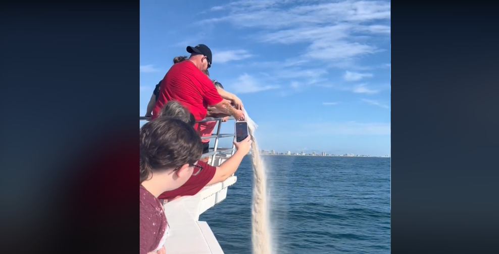 Dedkov pepel razsula v ocean, nato se je zgodilo nekaj, česar si ni mogla niti v sanjah predstavljati (VIDEO) (foto: Posnetek zaslona TikTok)