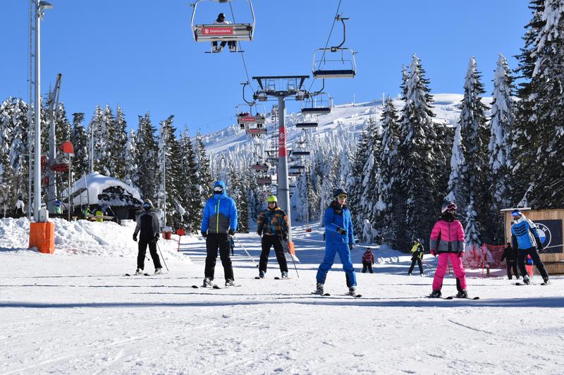 Raj na prostem: zakaj izbrati Kopaonik za počitnice v naravi? (foto: Sonja Šćelović)