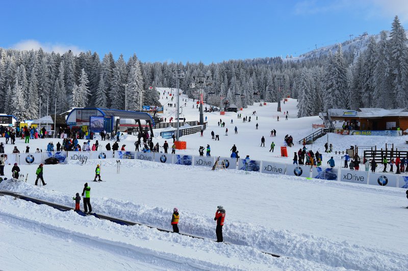 Raj na prostem: zakaj izbrati Kopaonik za počitnice v naravi?