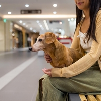 Veste, zakaj so nakupovalni centri (večinoma) brez oken? To je pravi razlog, ki se skriva za tem