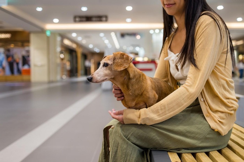 Ženska s psom (foto: Profimedia)
