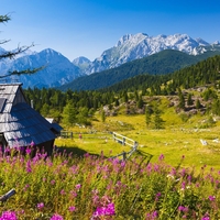Mladi Hrvat osupnil vse, ko je povedal, kaj si misli o Sloveniji in Slovencih