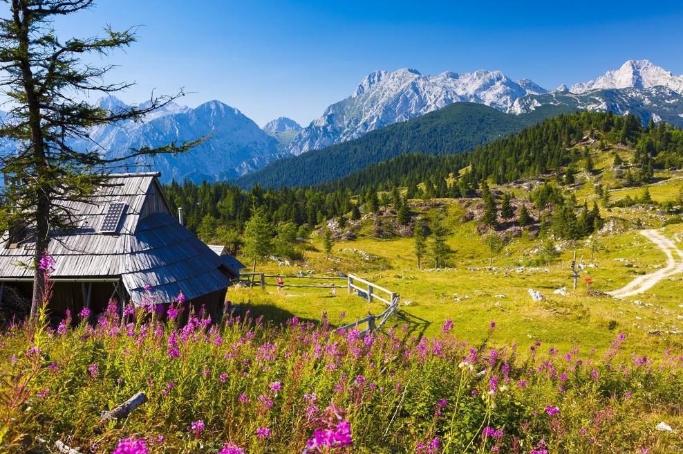 Mladi Hrvat osupnil vse, ko je povedal, kaj si misli o Sloveniji in Slovencih (foto: Profimedia)