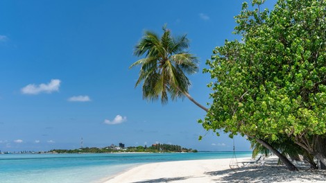 Maldivi
