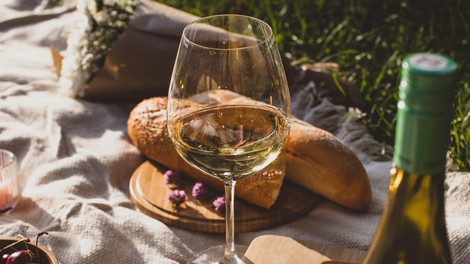 vino degustacija vina