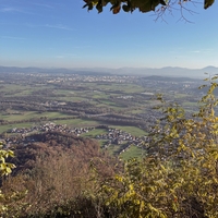 Šmarna gora dobila hudo konkurenco: odkrijte gozdno idilo nad Ljubljano, kjer se skriva nekaj magičnega