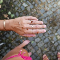 Kaj točno pomeni, če vidite pikapolonico? Prinaša še nekaj drugega kot srečo