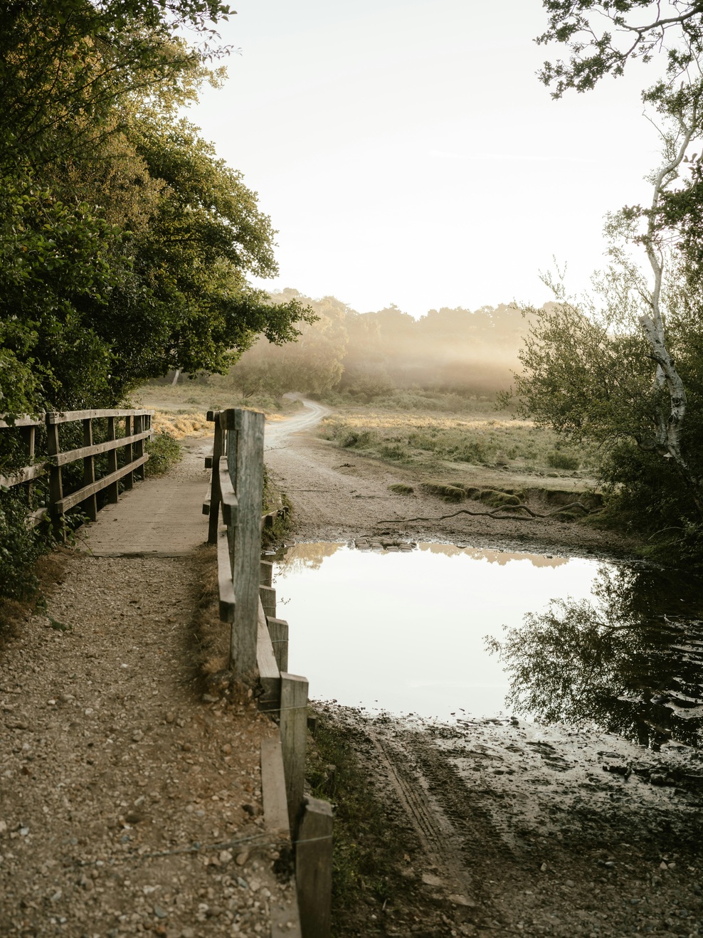 Zbudili smo se v sveže jutro z manj kot 10 stopinjami Celzija, že konec tedna pa nas čaka preobrat (foto: Unsplash)