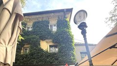 Apotheka Trnovo lokal