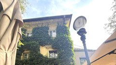 Apotheka Trnovo lokal