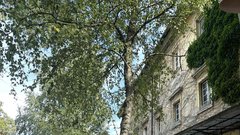 Apotheka Trnovo lokal