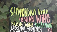 Apotheka Trnovo lokal