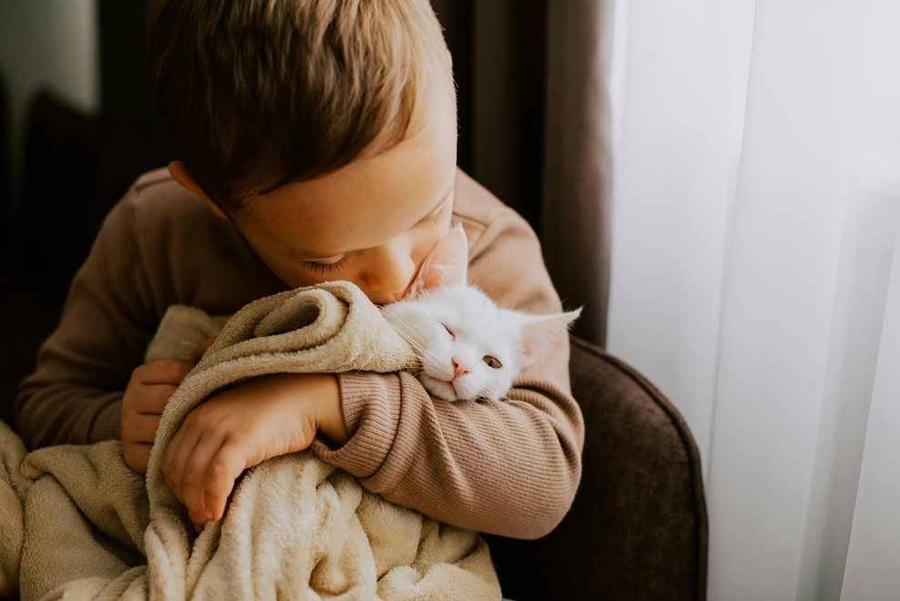 "Sinu svojega partnerja sem zaupala, da pazi mojo mačko - še danes sem jezna ob misli na to, kaj se je zgodilo" (izpoved" (foto: Unsplash)