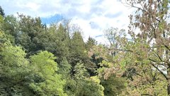 Lahinja reka Crnomelj